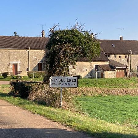 Longere Campagne 10 Pers. Proche Guedelon Vila Sougeres-en-Puisaye Exterior foto