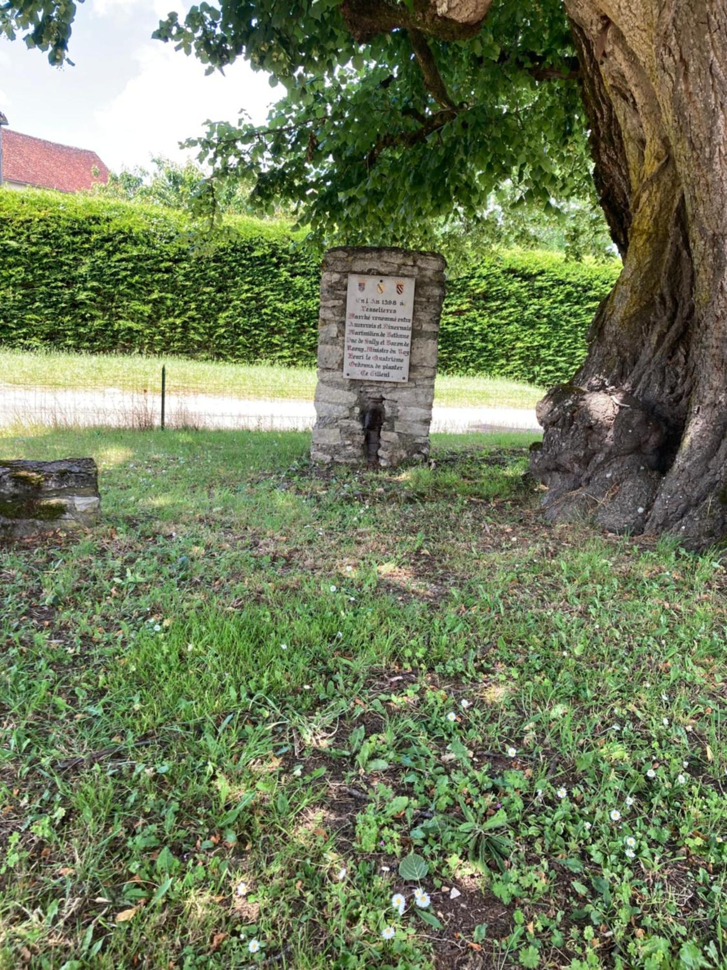 Longere Campagne 10 Pers. Proche Guedelon Vila Sougeres-en-Puisaye Exterior foto